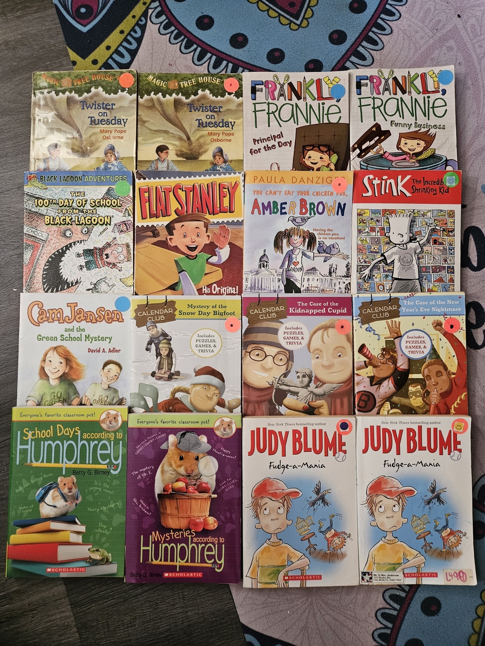 Popular Kids Chapter Book Series Bundle - Set of 16
